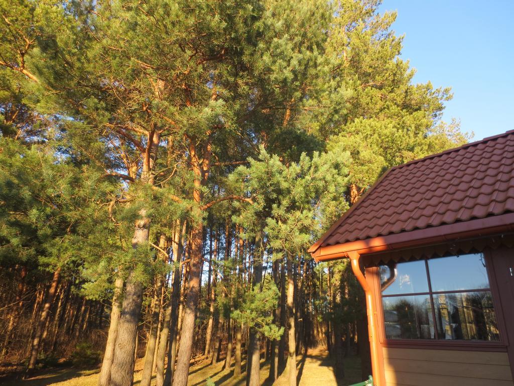 Seasidevilla Karklė Exterior foto